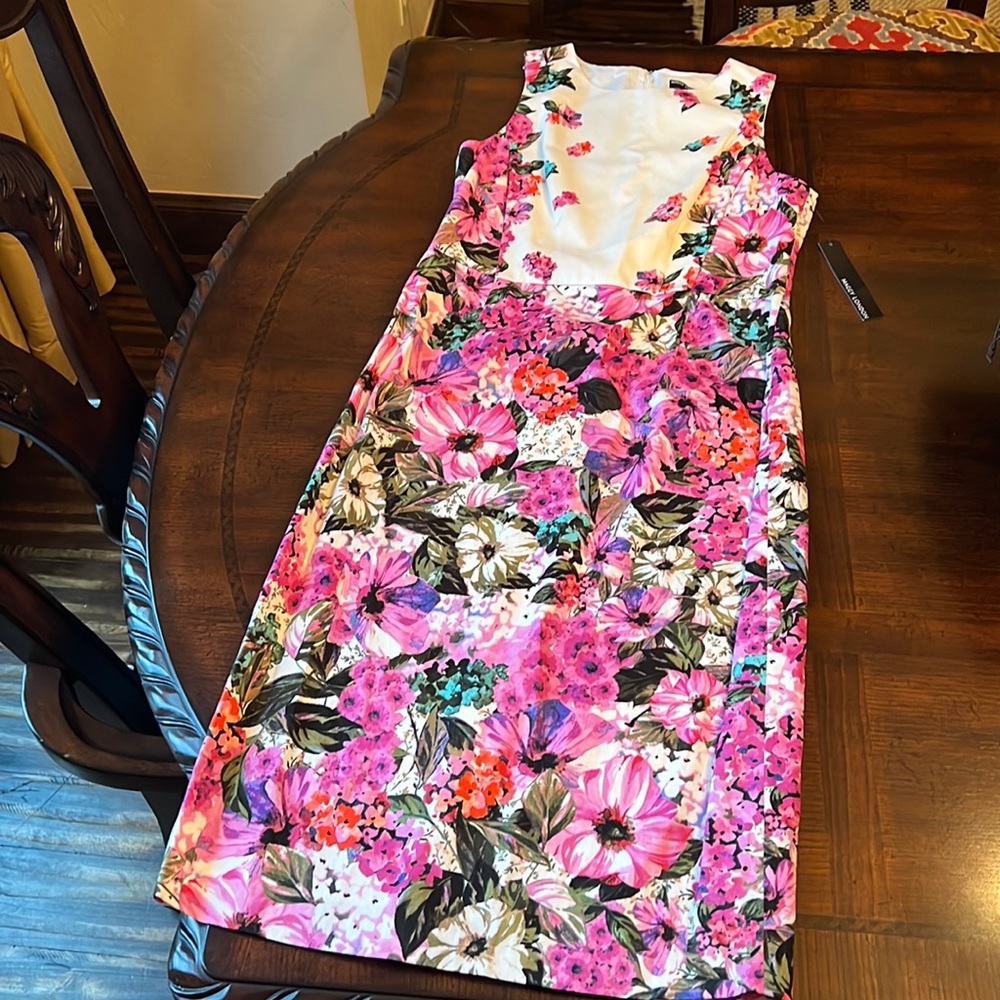 NWT Maggie London size 6 Floral Sleeveless Dress